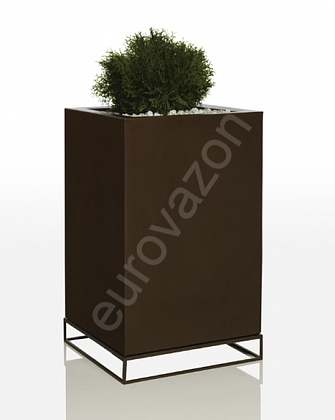 "Вела высокая 60",  фото 3 – Евровазон