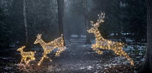 Животные "Семья"